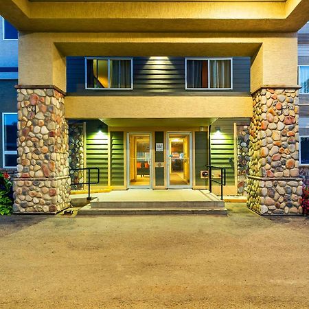 Comfort Inn & Suites Йорктон Экстерьер фото